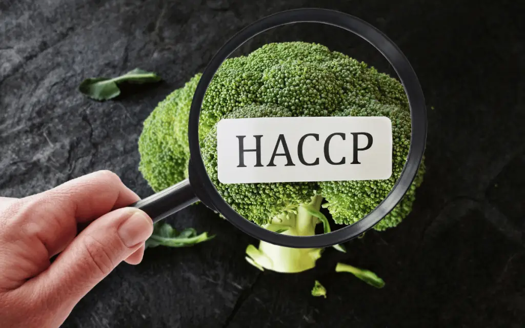 HACCP And ISO 22000