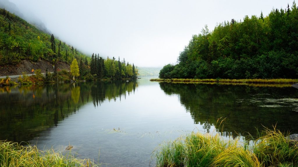 Forestry Management Chain of Custody