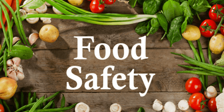 what-is-food-safety-software
